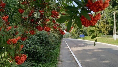 Без пяти минут осень