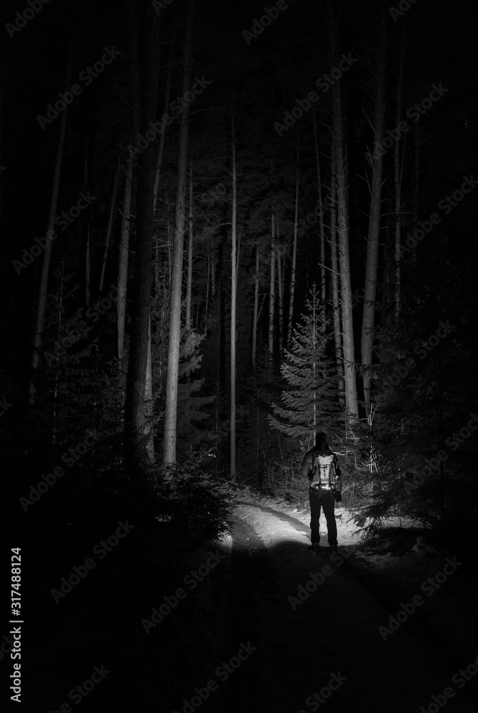 Впервые в ночном лесу