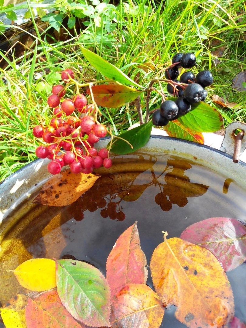 31 августа. О своём и о себе...