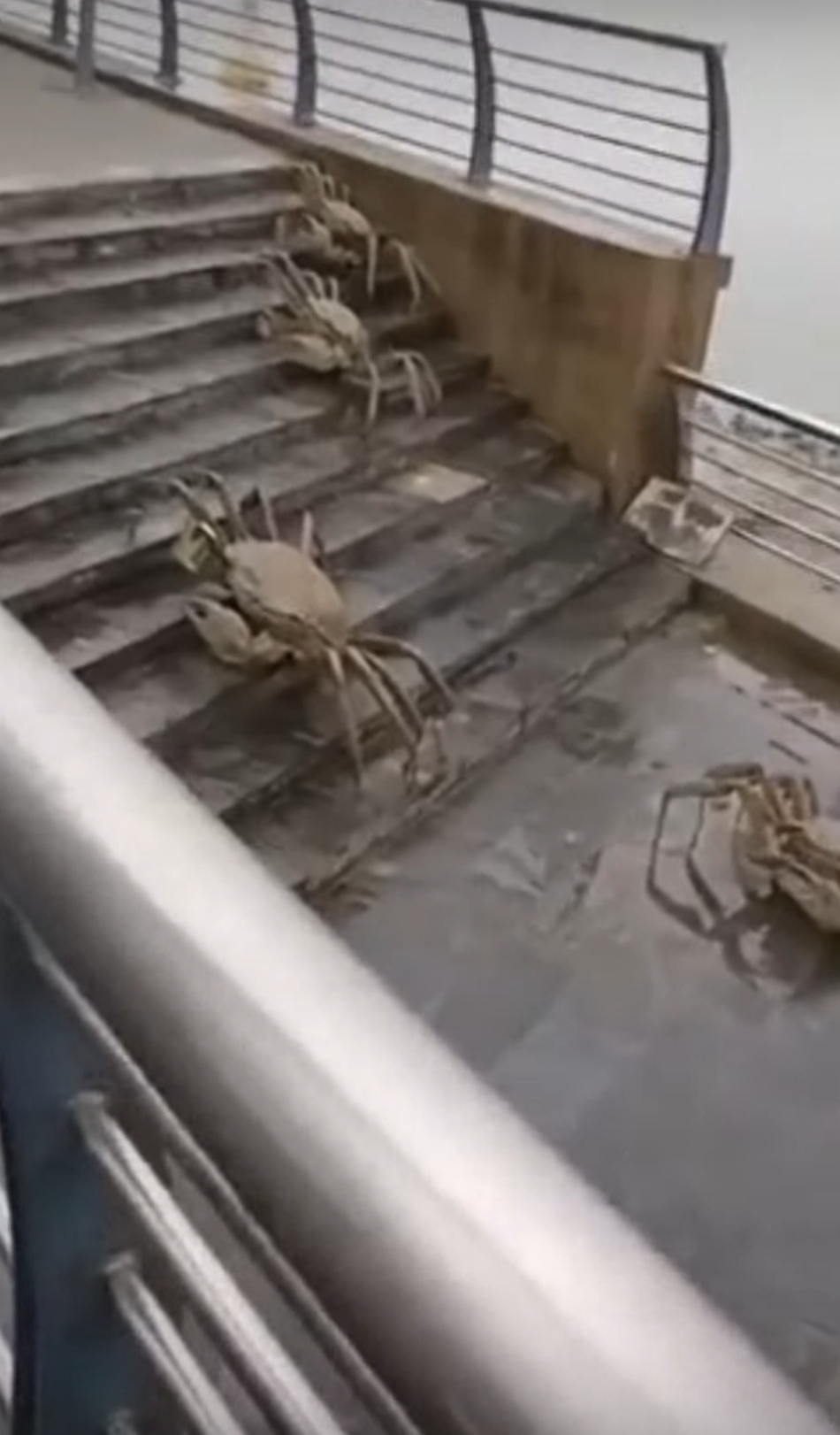 Берегите планету