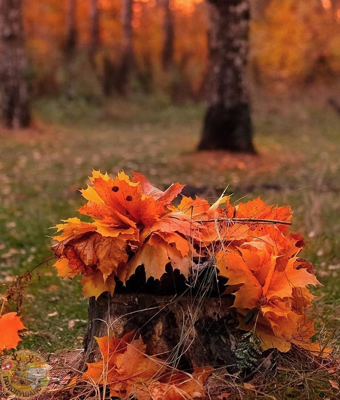 It was autumn and. It was autumn and