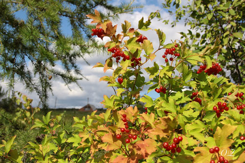 Начало осени