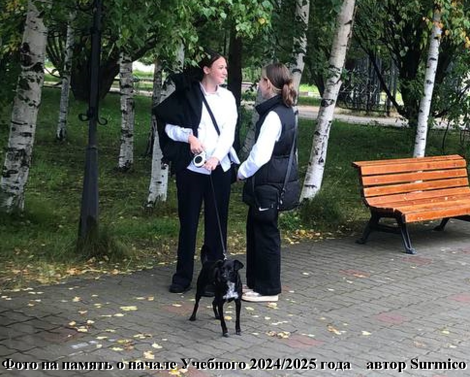 Четвёртая школа взлетела в учебный