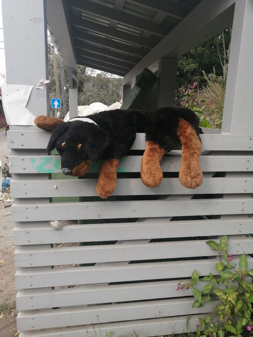 2 сентября. Мысли чувства...