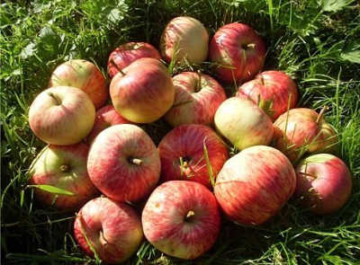 Славит осень