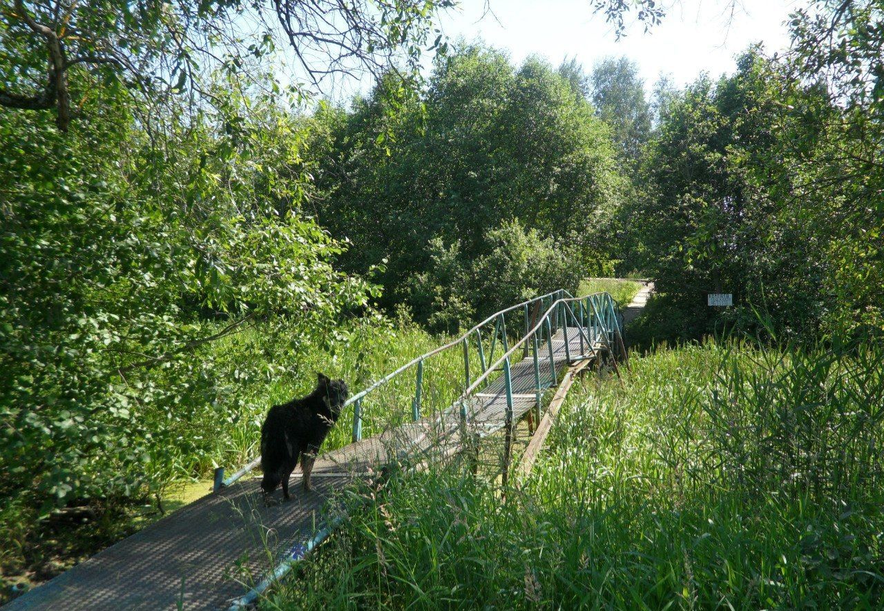 Пишет сказку осень золотым пером...