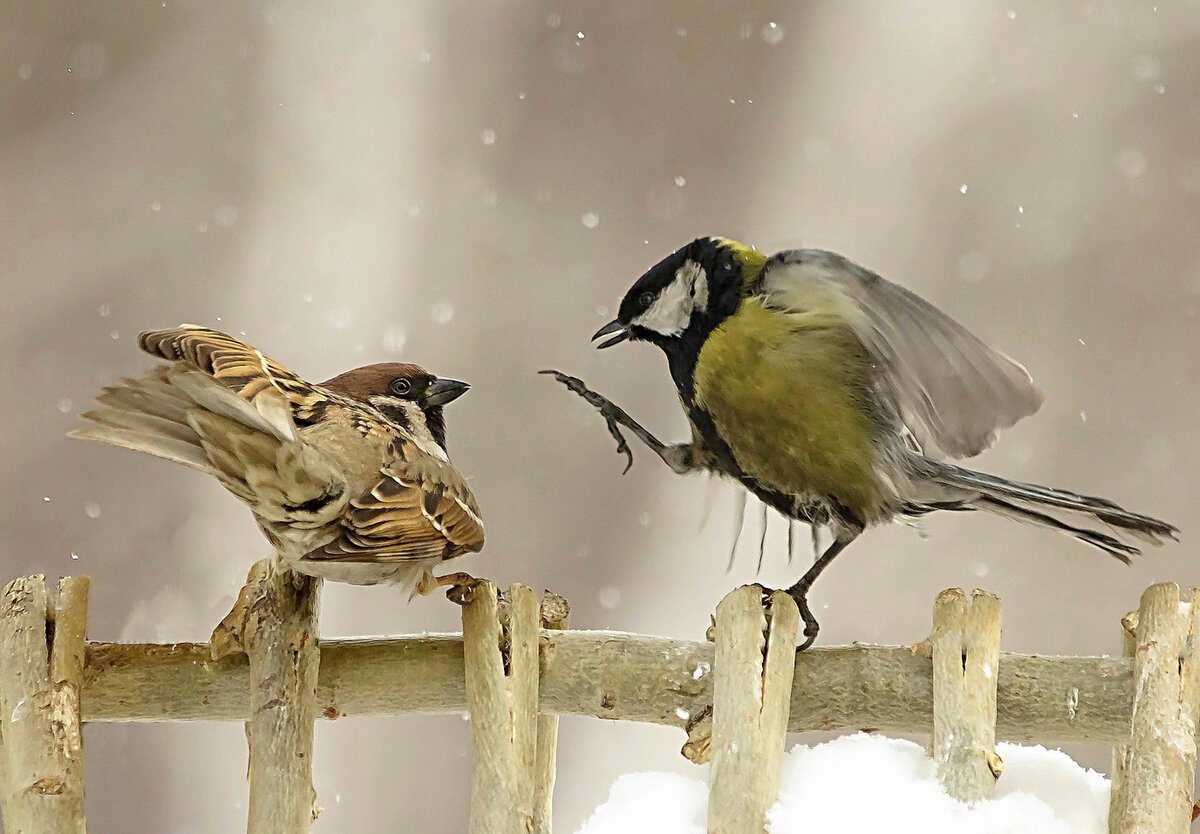 Чужая любовь. Вид со стороны