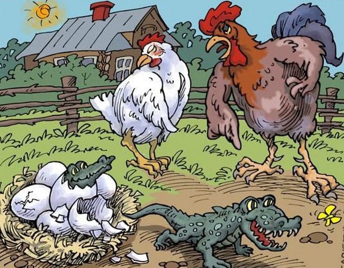 Петух, курятник и мечты