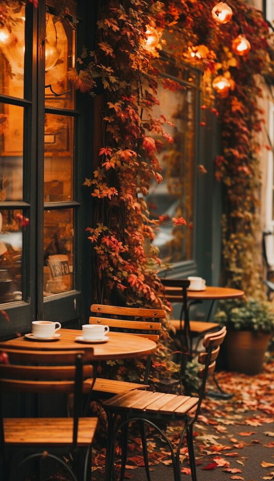 Звездный сентябрьский вечер...