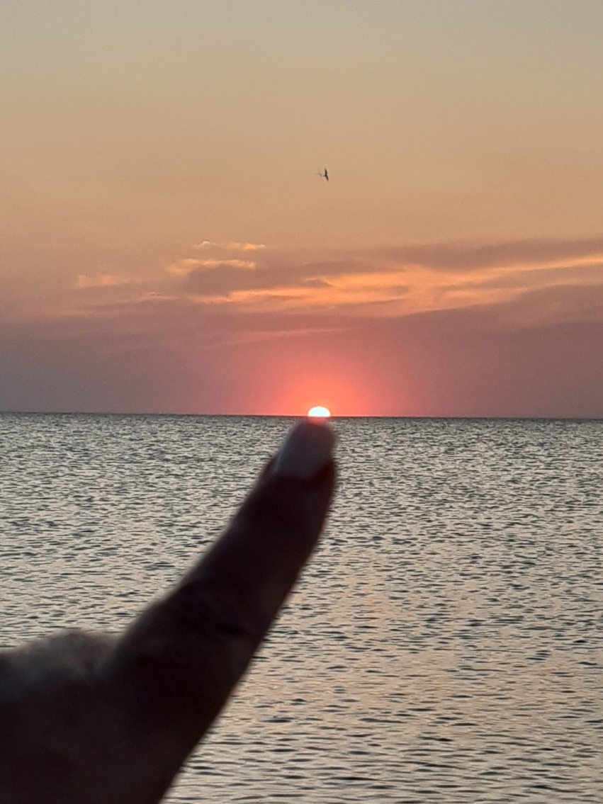 Платье цвета жарких хризантем...