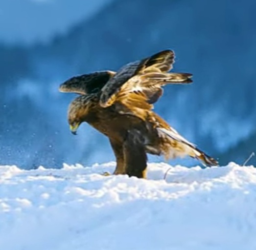 Мысли в Пути - нужна привычка...