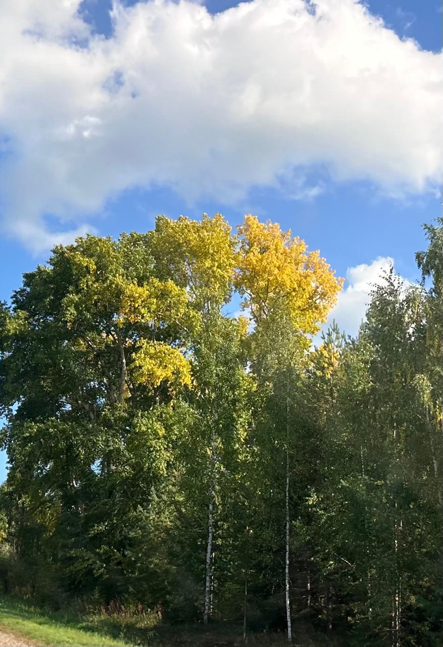 Лето промелькнуло