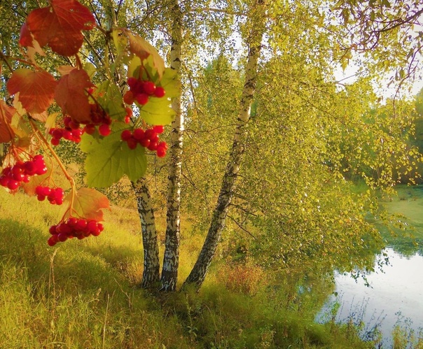 Загуляло лето...