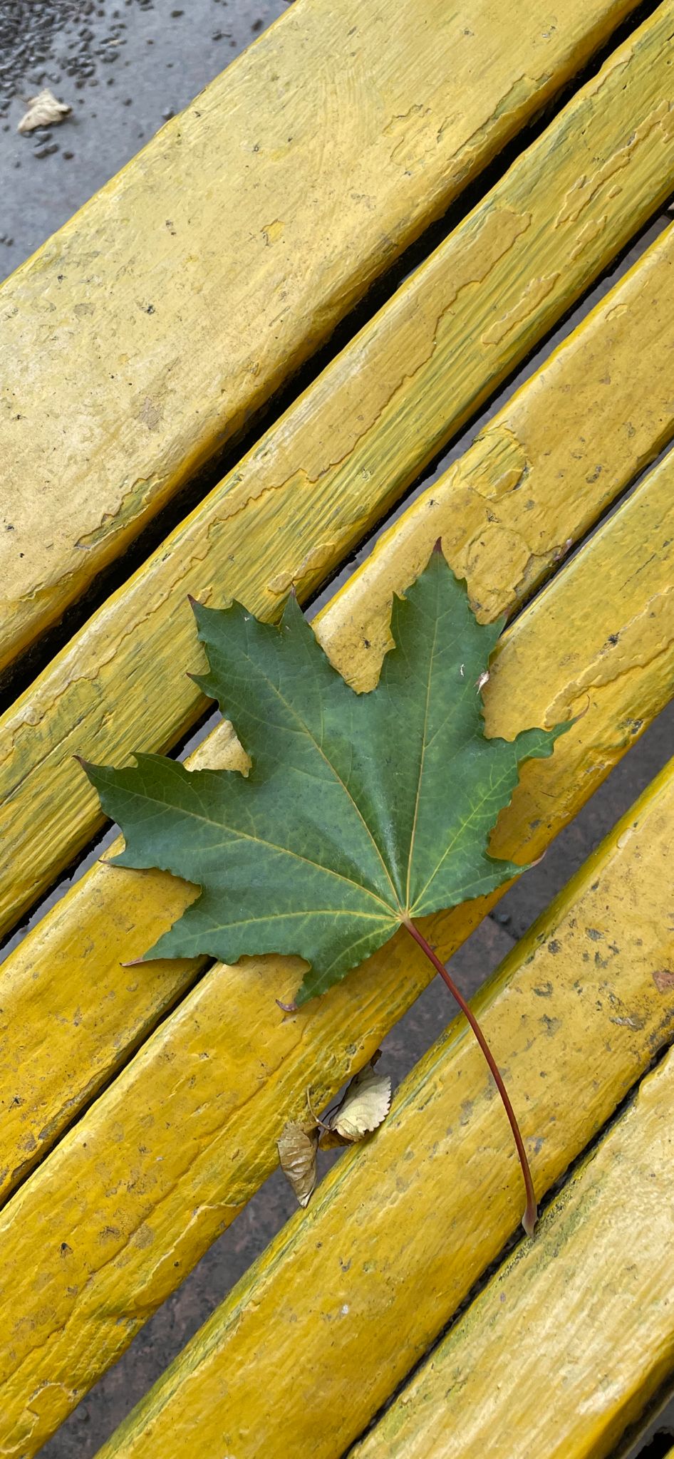 Экспромт для Димы