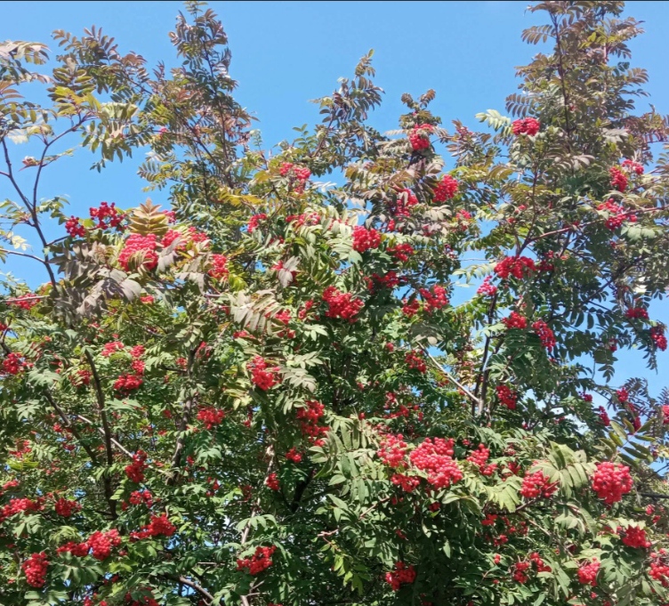 Осень-время для души