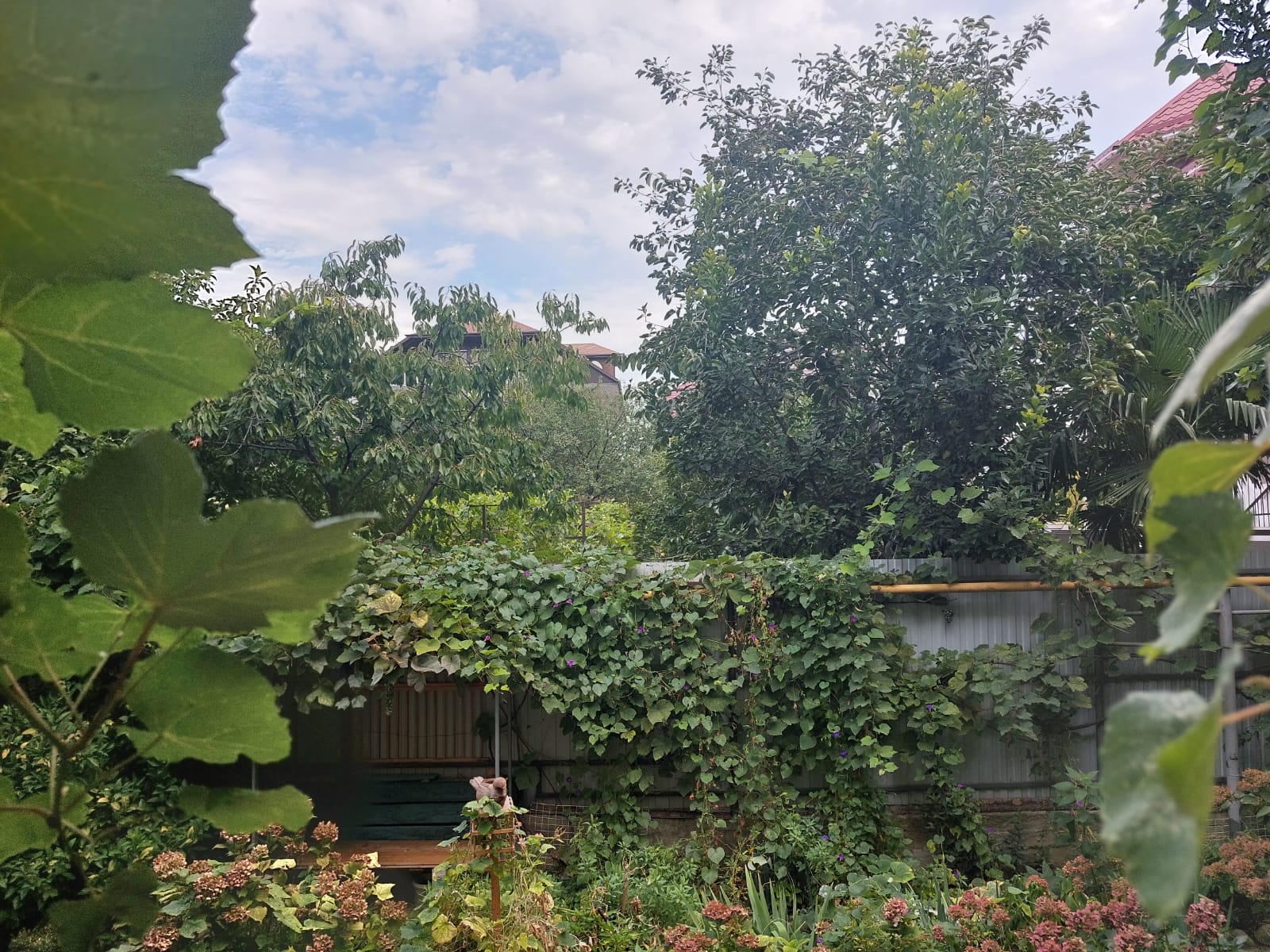 В источник благодати