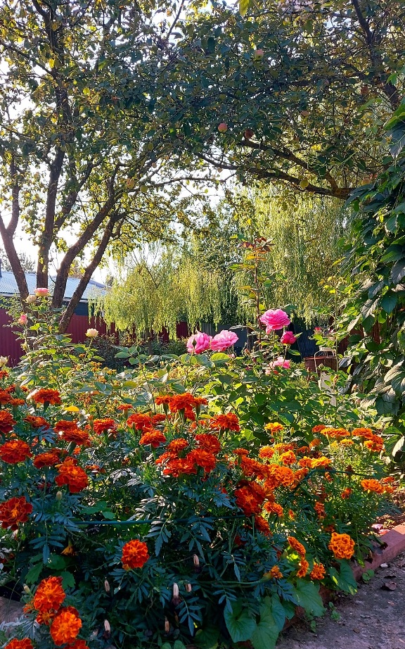 Златой сентябрь