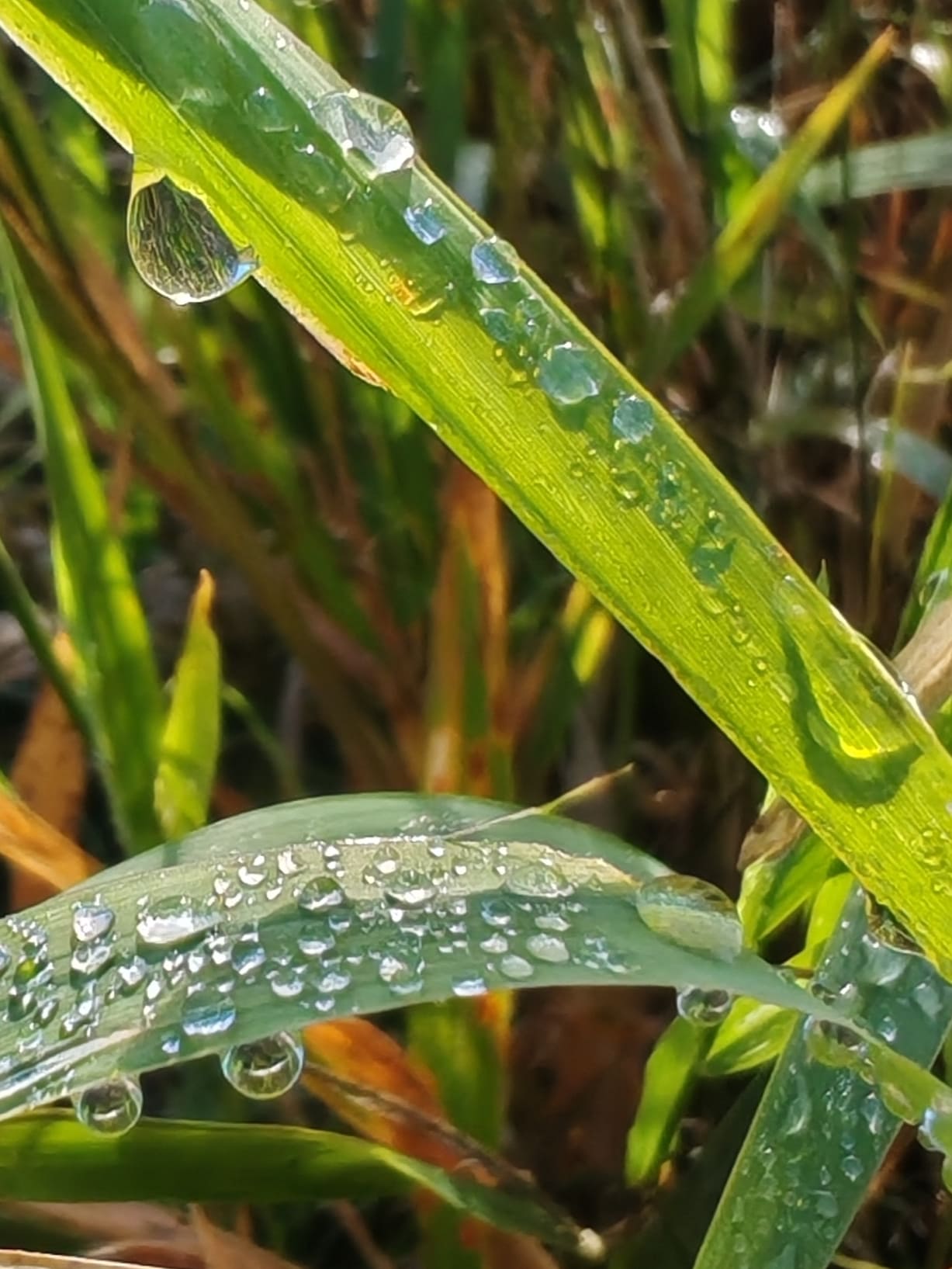 Слова о любви неземной