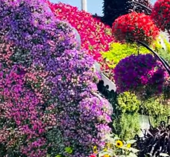 Мысли в Пути - душа к душе как птица рвется...