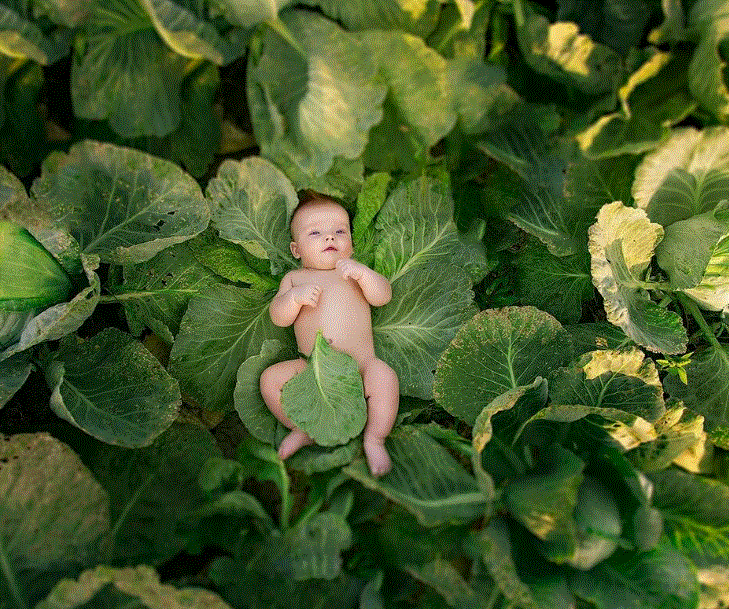 Гипотезы по жизни