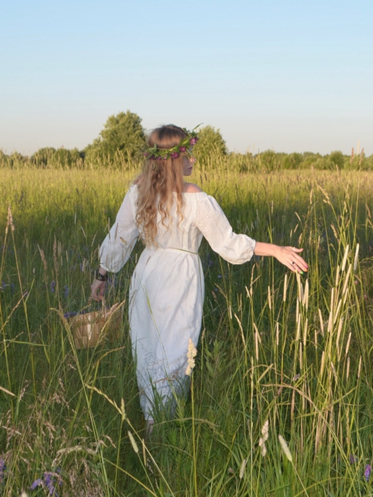 Хризантемы белые