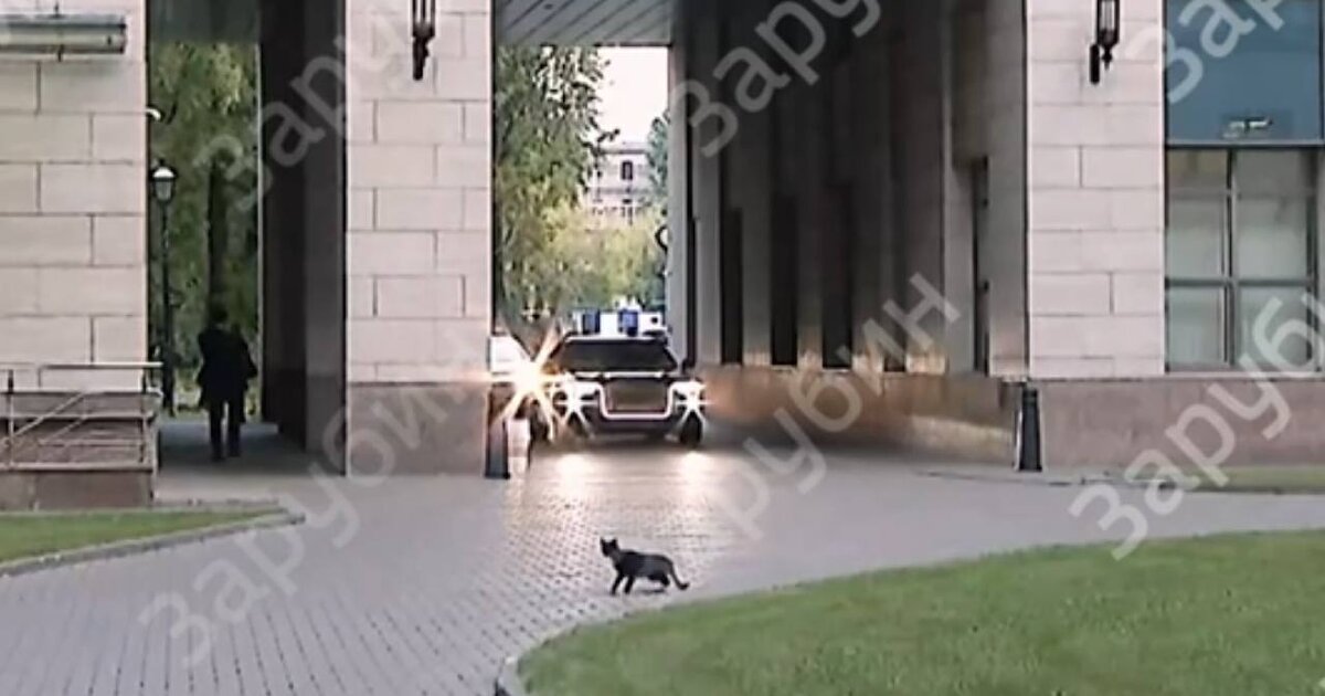 Перейти дорогу Путину?