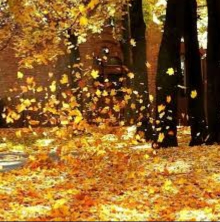 Романс Не жалею ни о чём