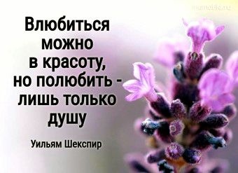 Бог видит красоту души