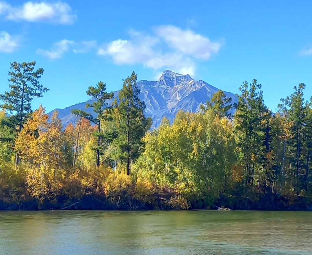Осень уходит в зимнее время