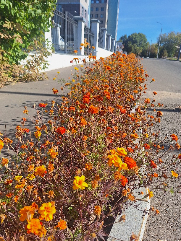 Порог времени