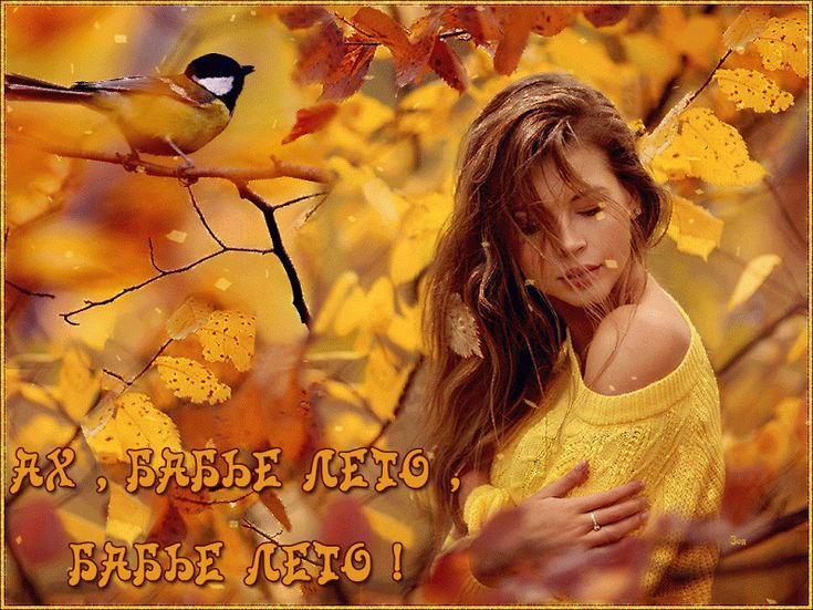 https://stihi.ru/pics/2024/09/22/1083.jpg
