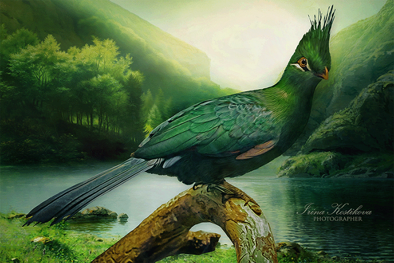 Попробуй жить, не брезгая судьбою...