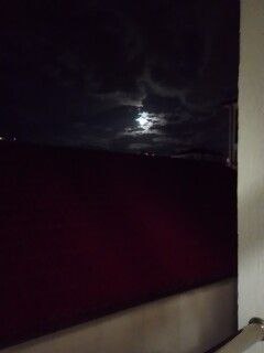 Перед последним закатом