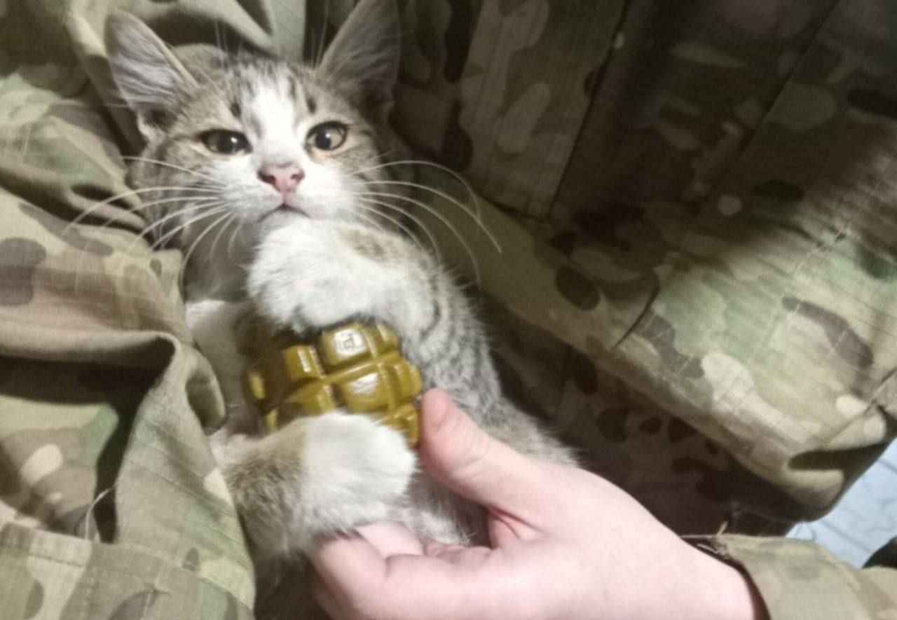 Заговорённая граната