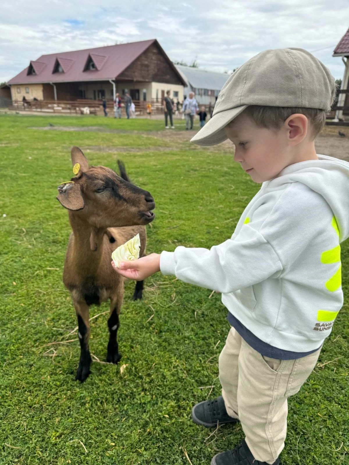Коза, капуста и гроза