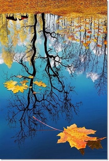 Дело не в сентябрях...