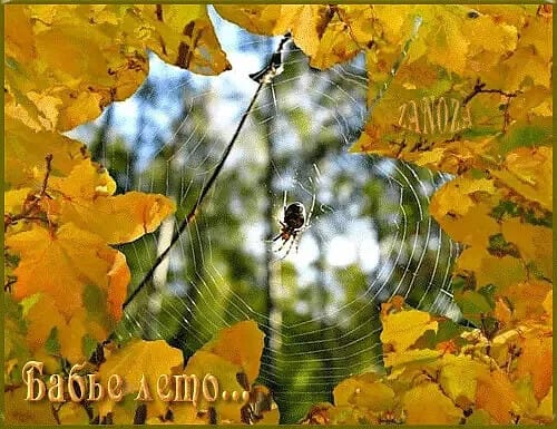 Лето в сентябре