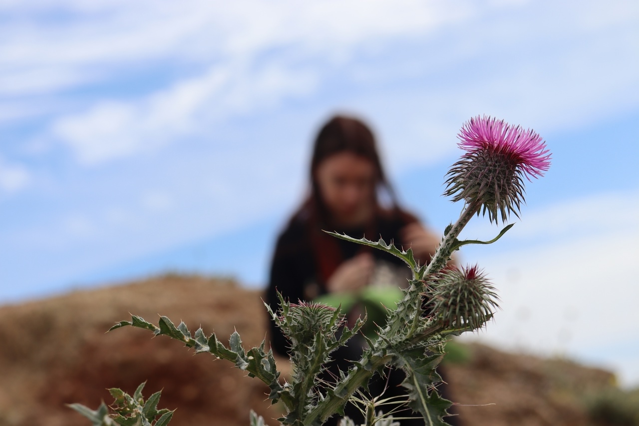 Меня не оставляй одну!