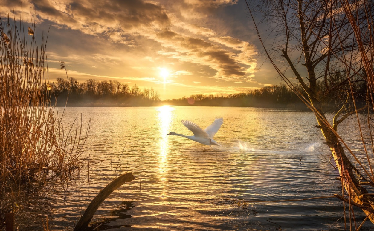 Дыханье затая...