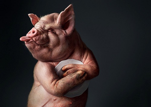 Не мечите бисер перед свиньями. Многорифм