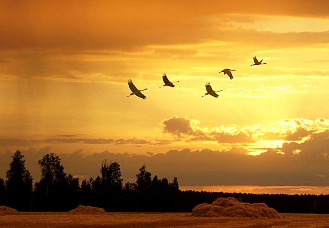 Не грусти...