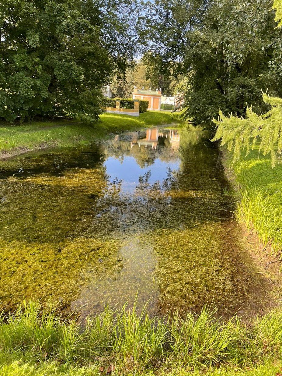 Благодать осенняя