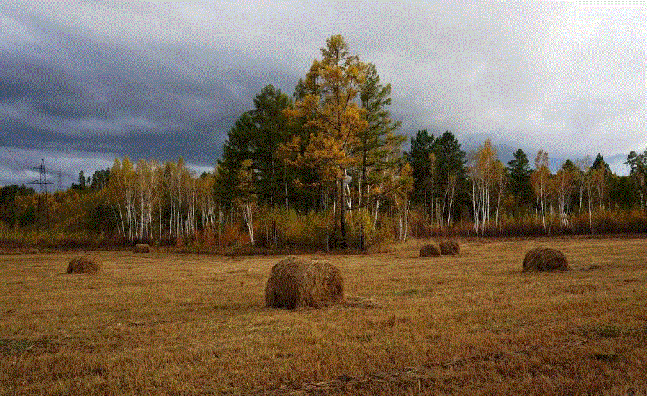 Черты сентября