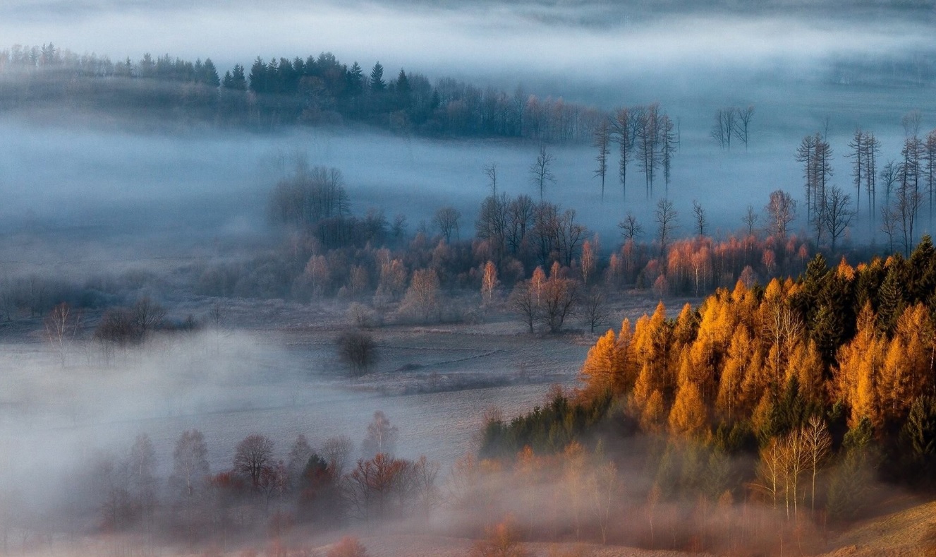 Когда золотеют поля...