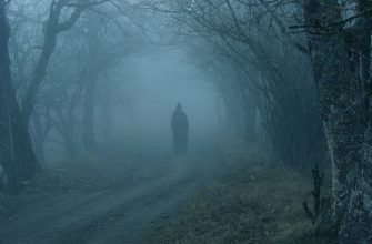 Мои мысли...