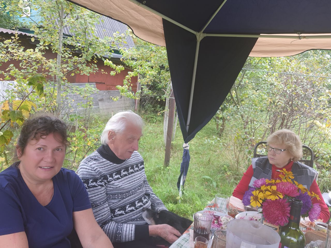 Дачная история