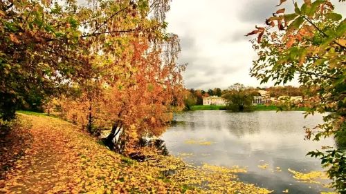 Осень, сентябрь, двадцать девятое