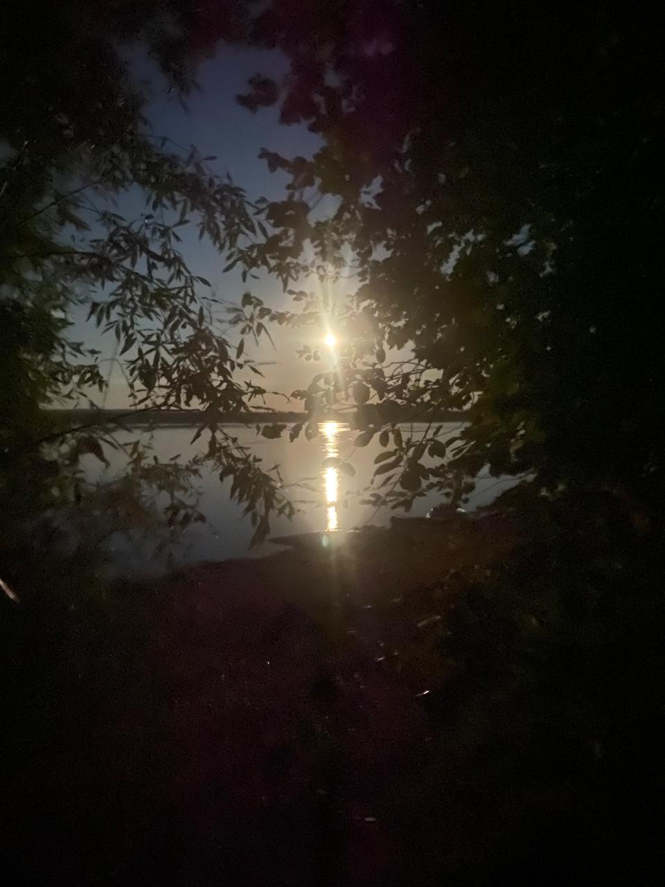 И золотая сотканная нить