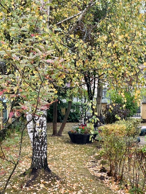 Было цветение буйным