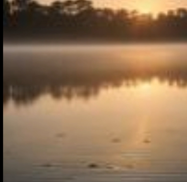 194. Заря над прудом